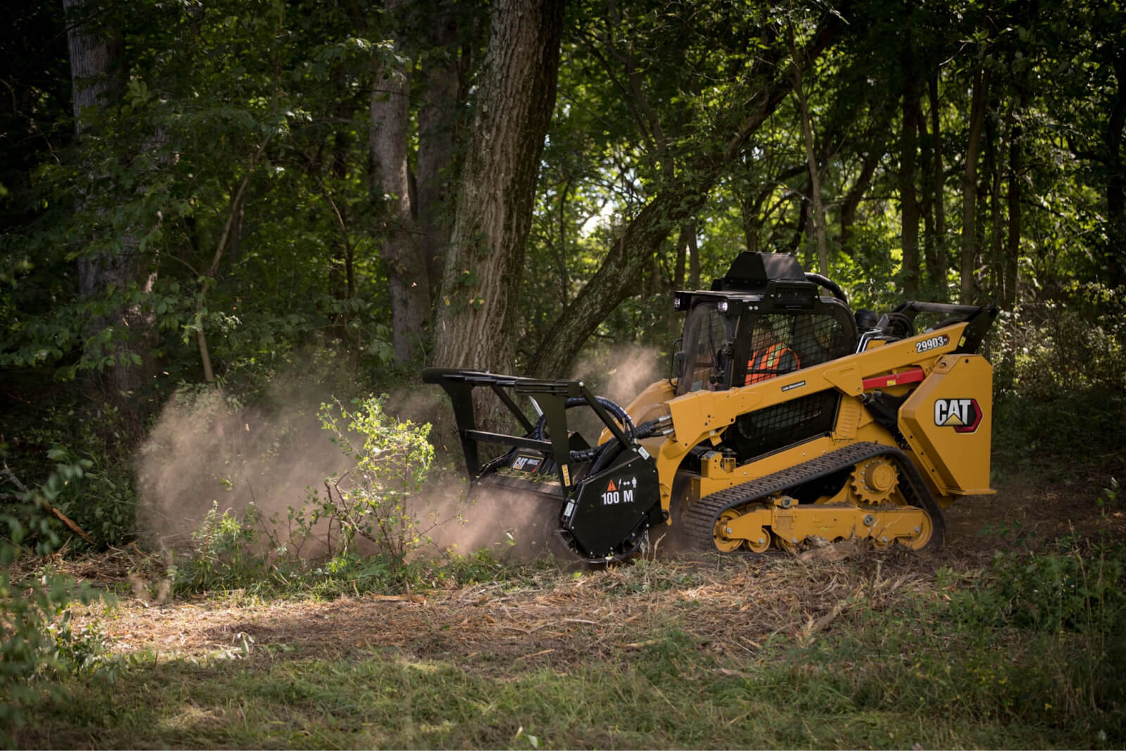FAE mulcher clearing dense Hill Country cedar on a Texas estate property
