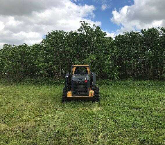 Ranch & Pasture Restoration