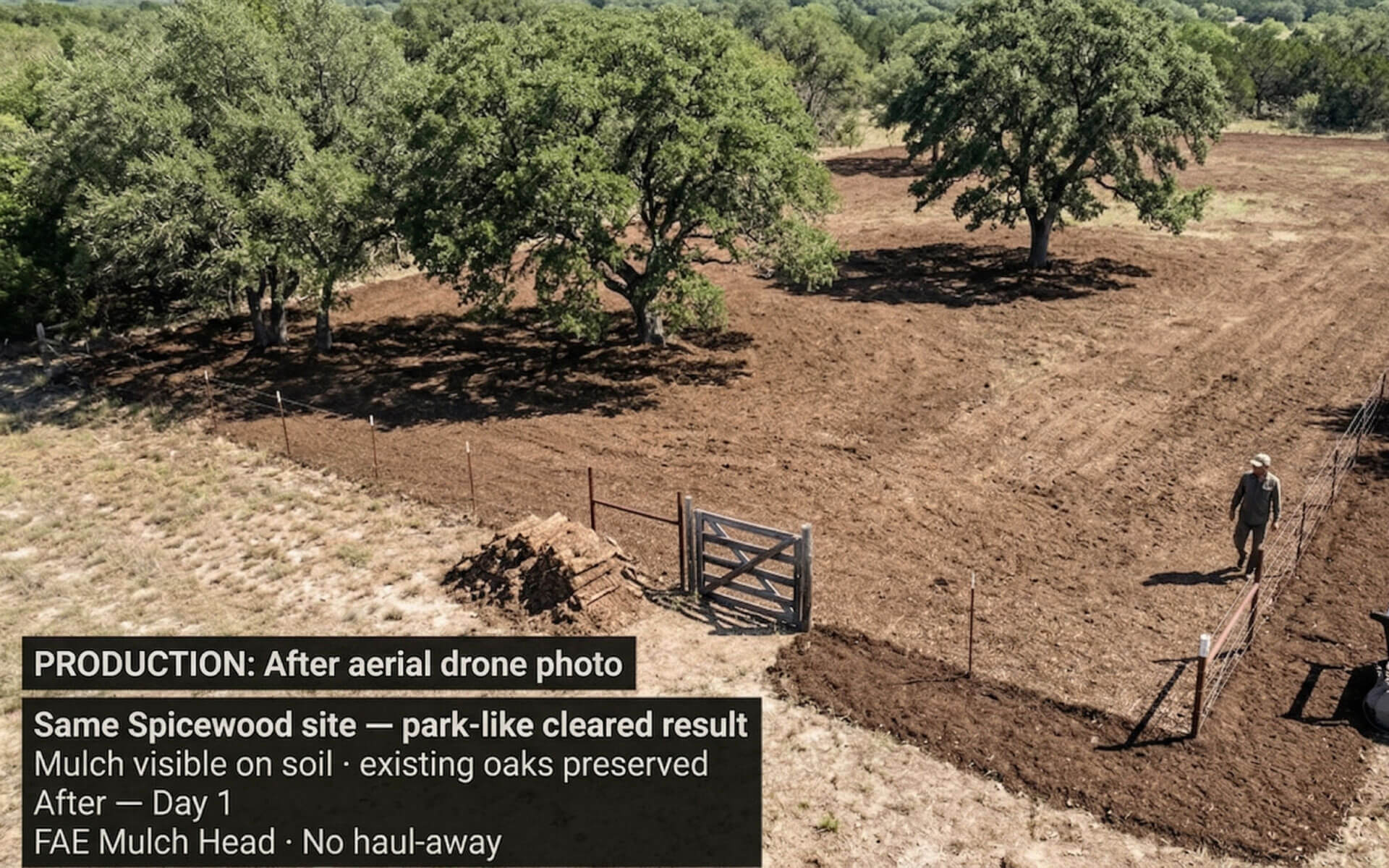 Same Hill Country property after forestry mulching, cleared to a park-like finish with oaks preserved