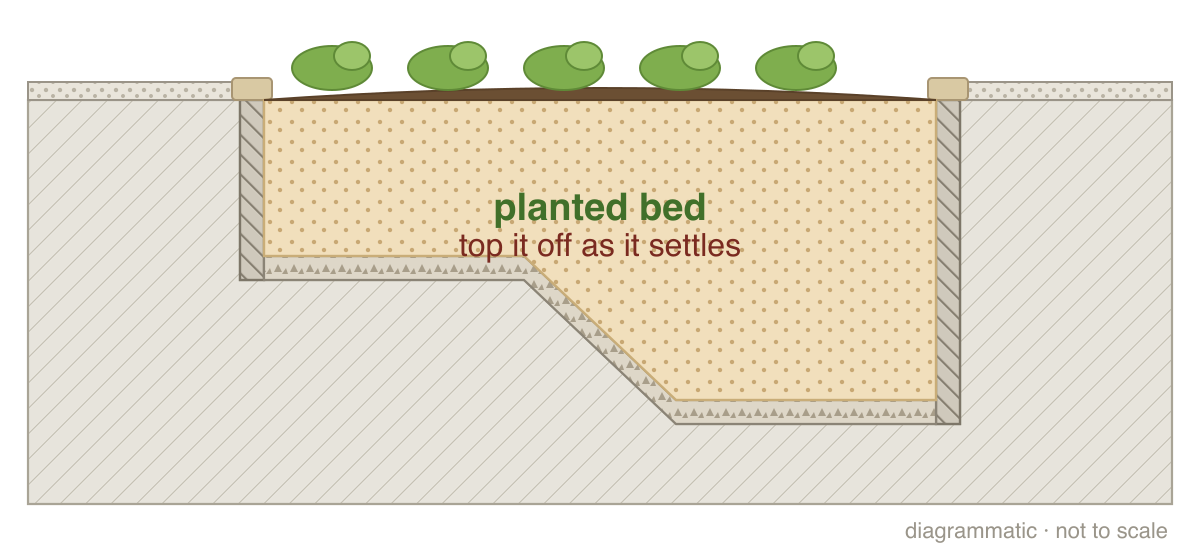 Step 4: Plant the bed (section drawing)